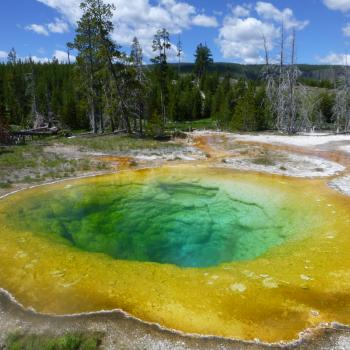 Morning Glory Pool in Yellowstone National Park
