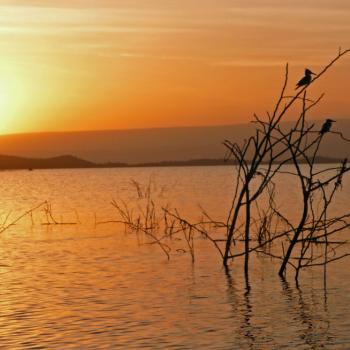 Lake naivasha 