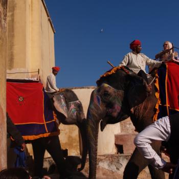 Amber Fort bij Jaipur