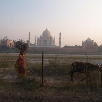 Dé Taj Mahal