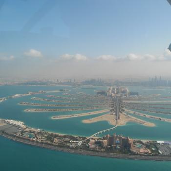 The palm