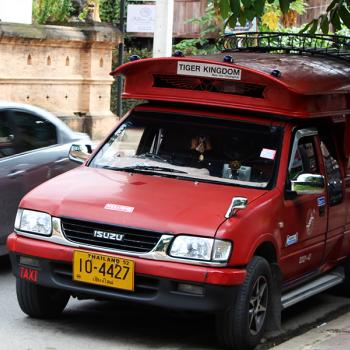 Pak de songtaew (rode taxi)