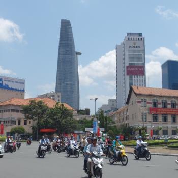 Scooters, scooters, scooters