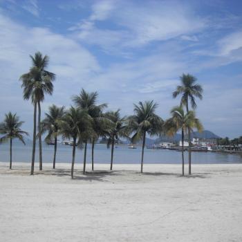 Witte stranden en palmbomen op paradijselijk Ilha Grande