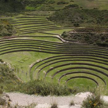 Maras Moray