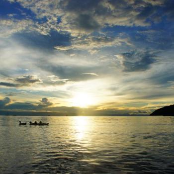 Cape MaClear