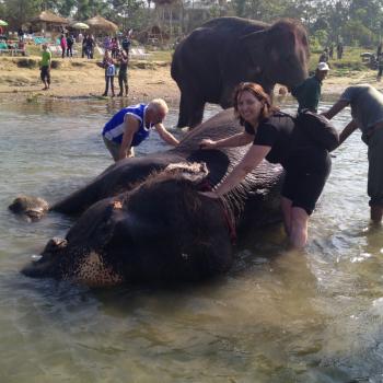 olifant wassen in sauraha