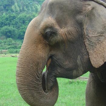 Chiang Mai