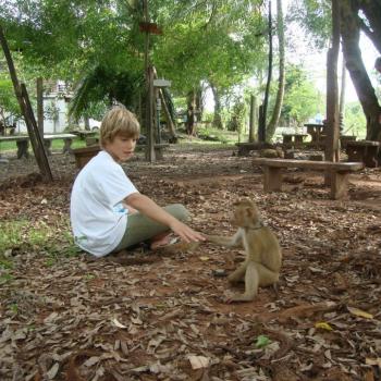 The first monkeyschool