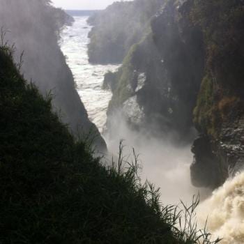 Top off the Murchison Falls