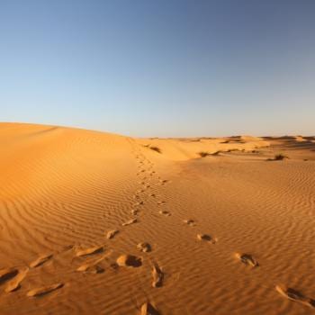 Wahiba Sands