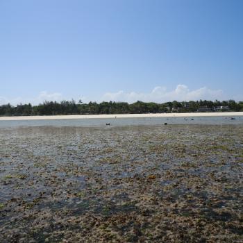 strand of rif van diani beach