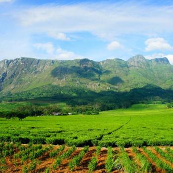 Mount Mulanje