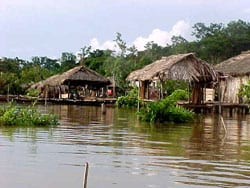 Delta Orinoco 