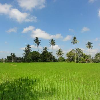 Ubud