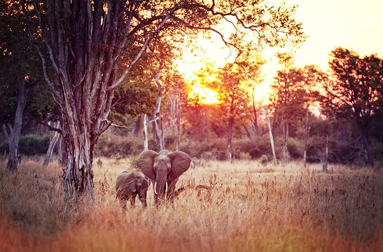 Lower Zambezi National Park