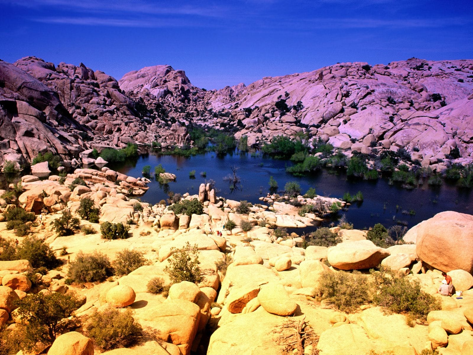 Joshua-Tree-National-Park-