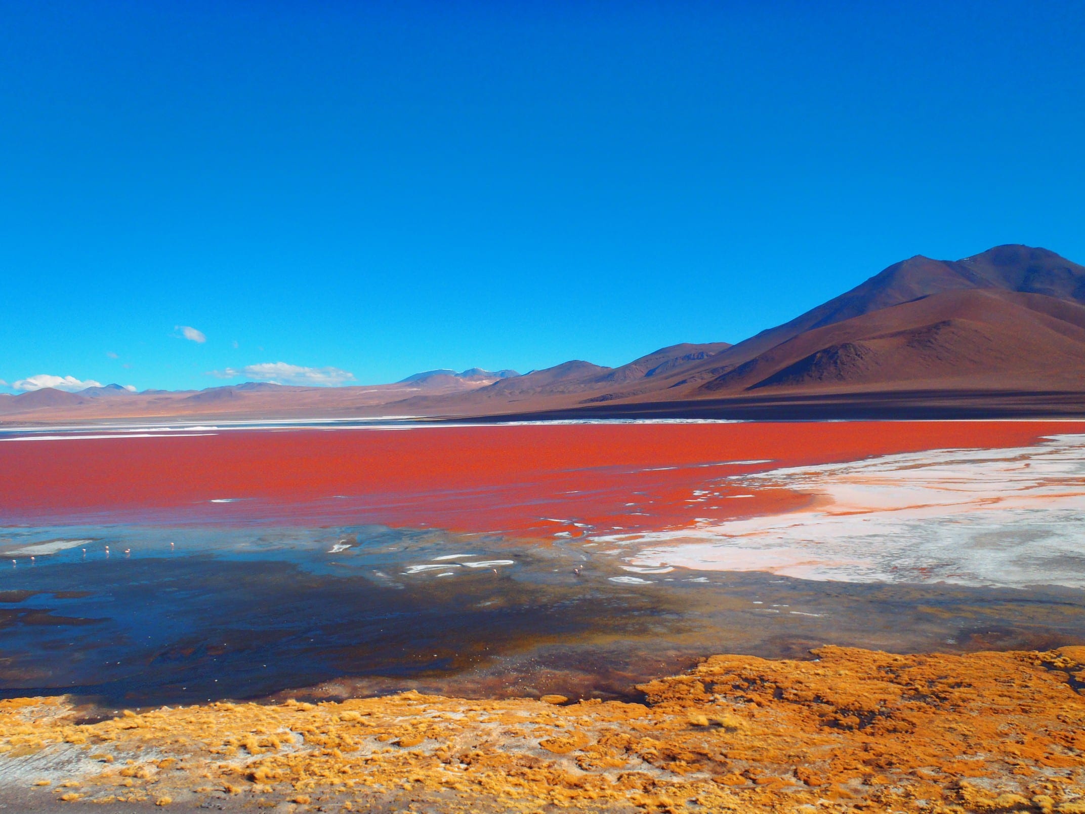 Laguna 4