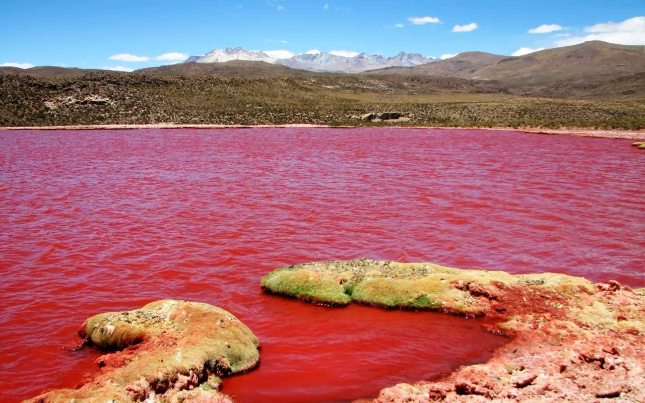 laguna-colorada 3
