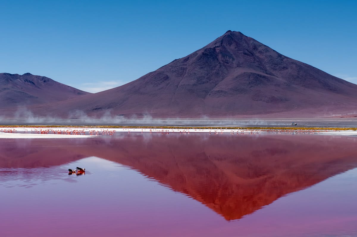 lagunacoloradaomslag