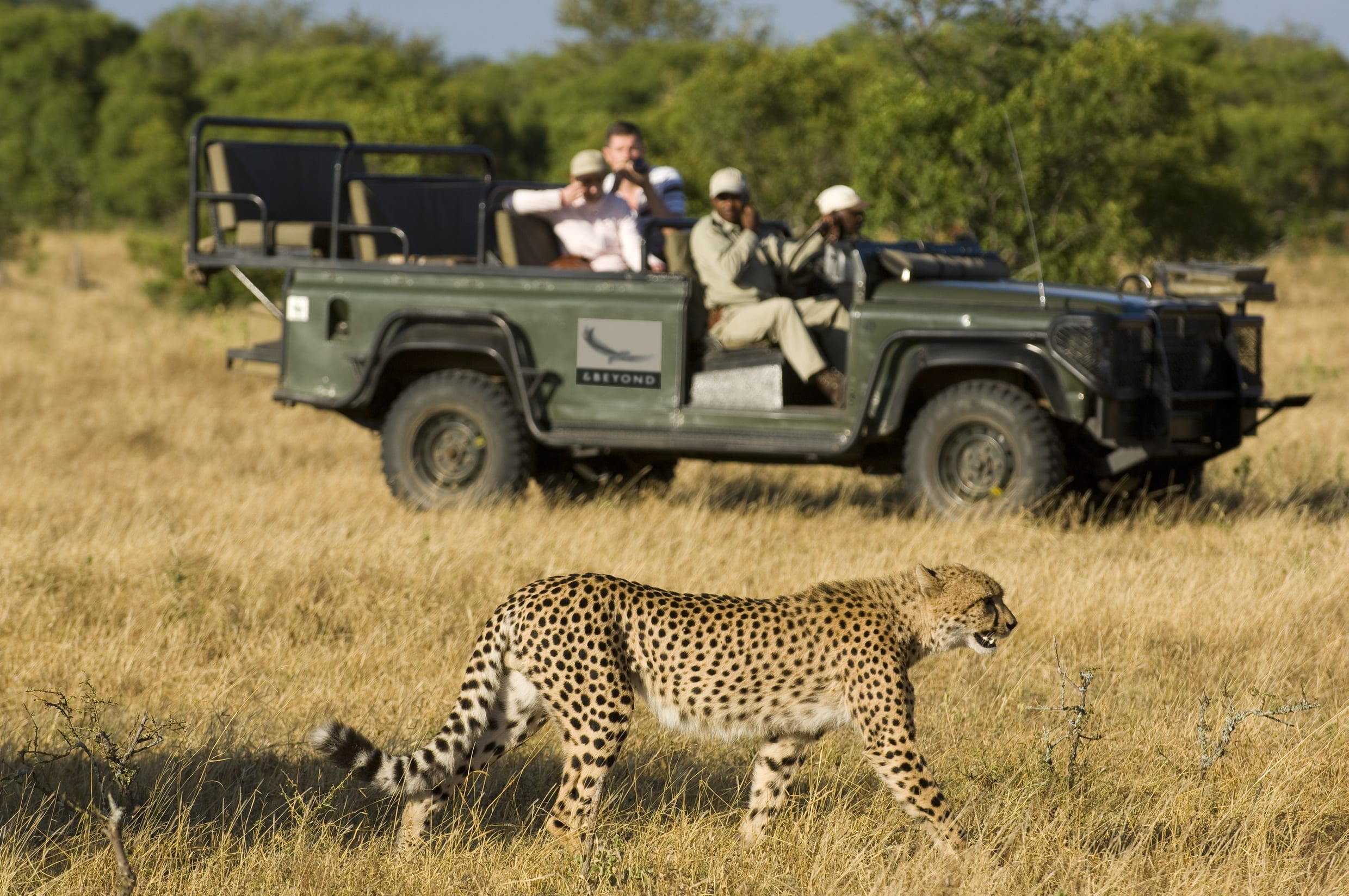 Kruger National Park
