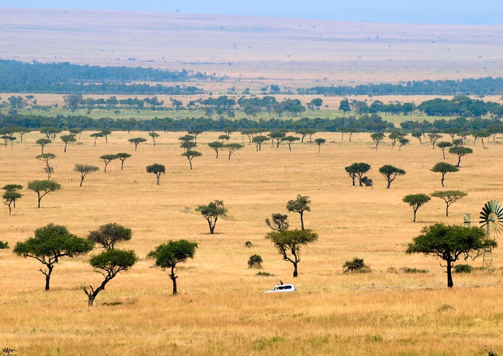 Masai Mara