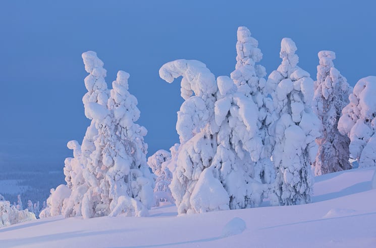 Fins Lapland
