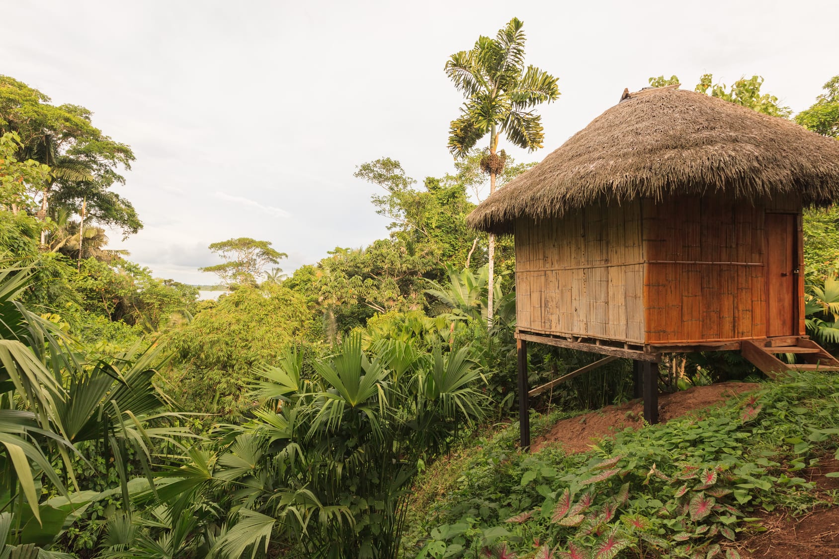 Yasuni National Park ecuador