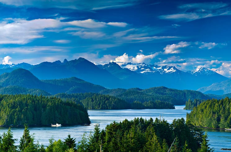 Tofino