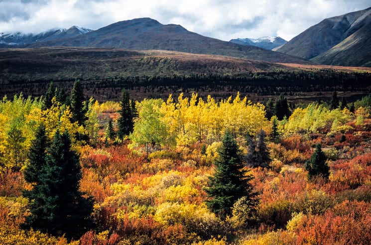 Yukon