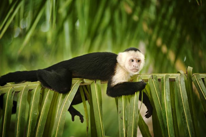 Costa Rica