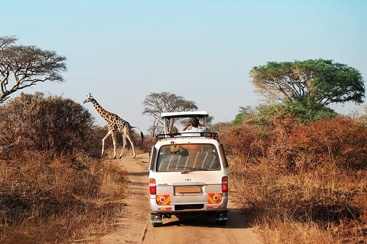 Zuid-Afrika game drive