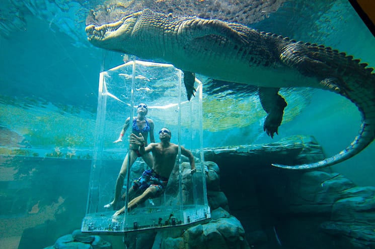 Crocosaurus Cove, Darwin, Australië