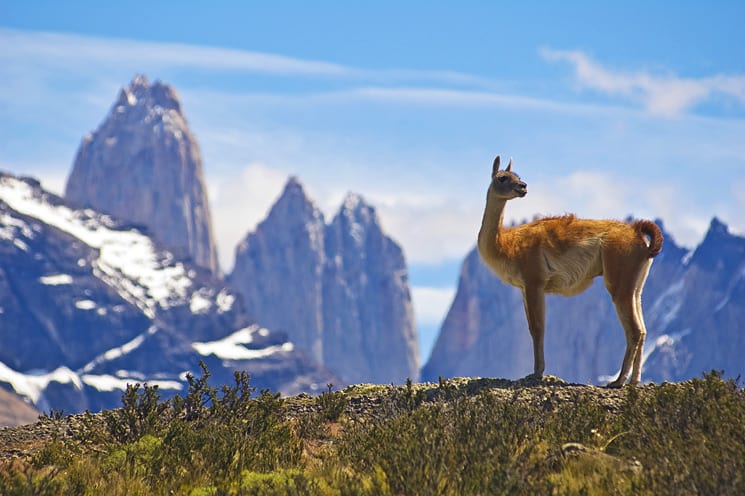 Torres del Paine