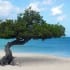 Aruba