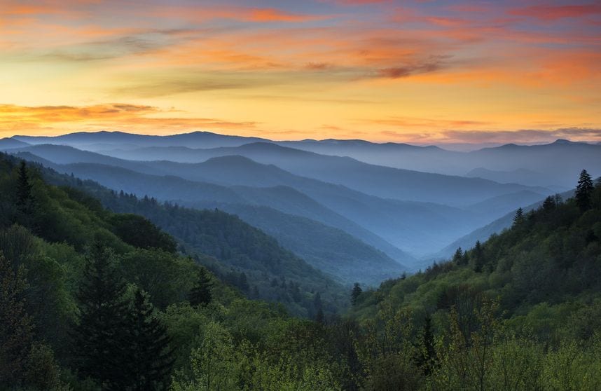 13882328_Verenigde Staten - Great Smokey Mountains NP