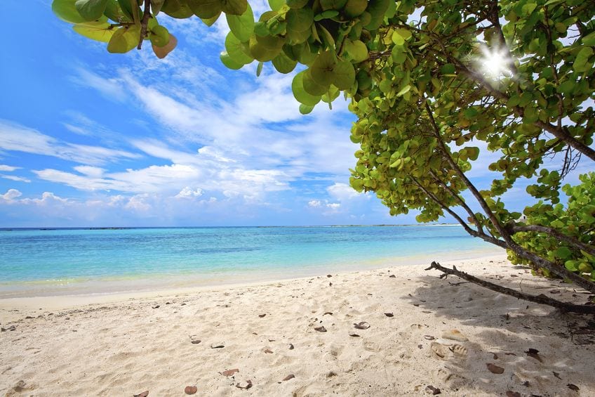 Aruba