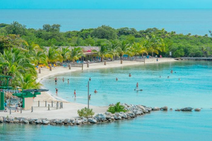 Honduras - Lush, tropical, foliage on beach in Roatan Island