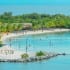 Honduras - Lush, tropical, foliage on beach in Roatan Island