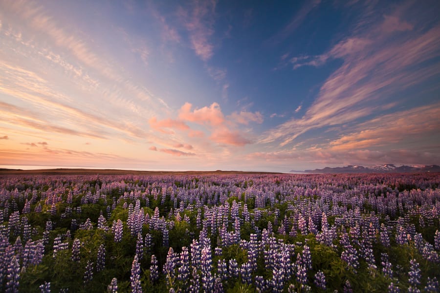 Ingjaldsholl, IJsland