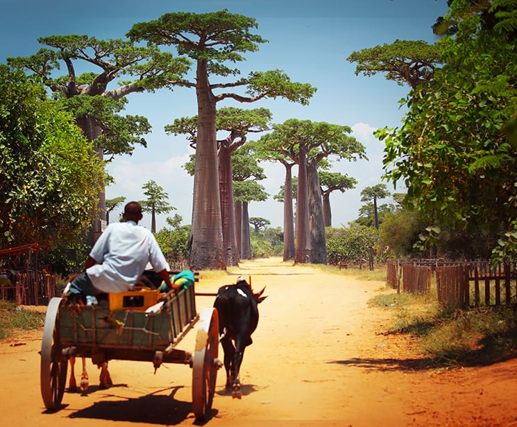 Vrijwilligerswerk Madagaskar
