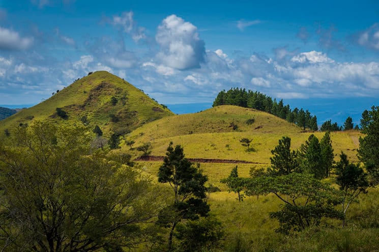 Panama hooglanden (Boquete)