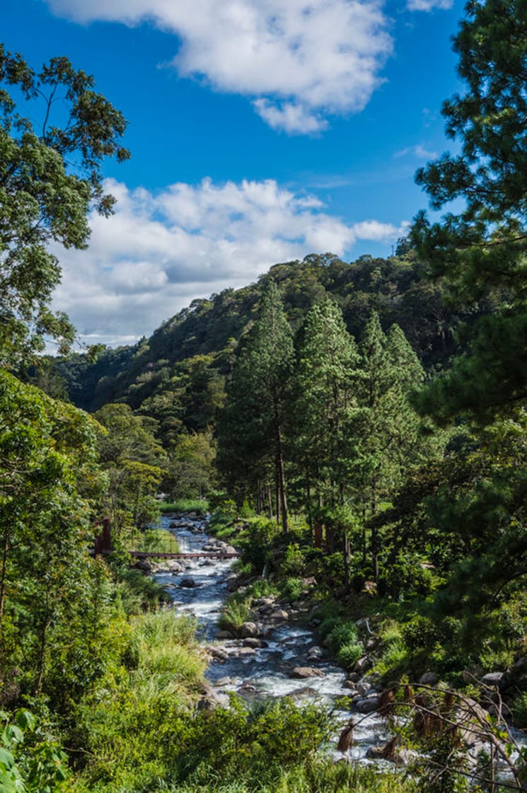 Quetzal Trail