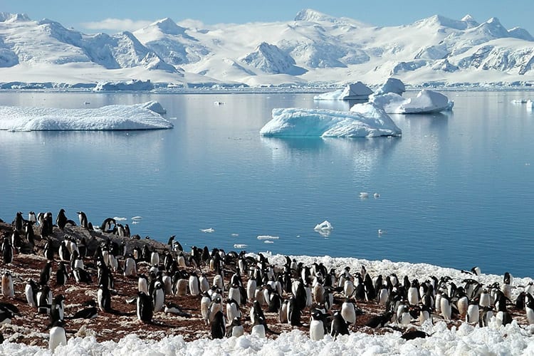 Antarctica