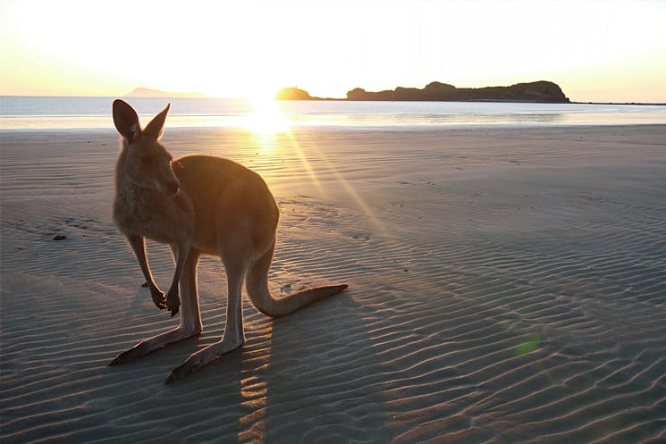 Kangaroo Island