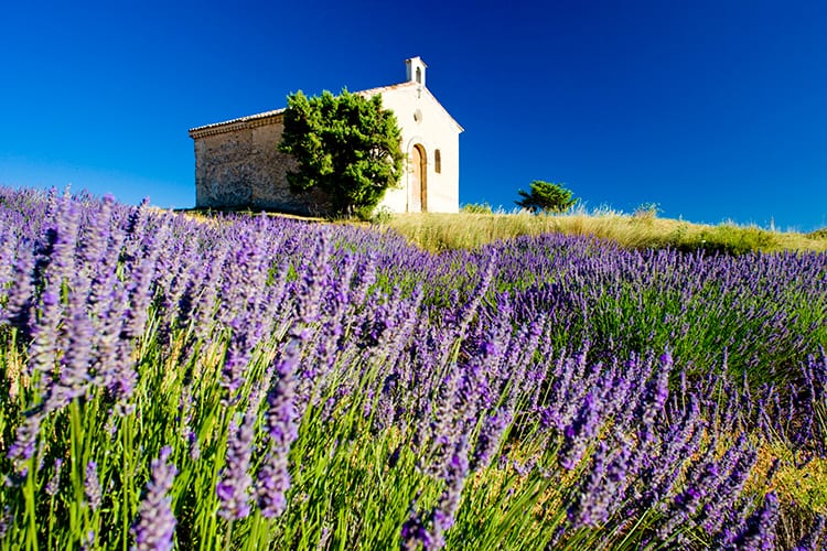 Provence