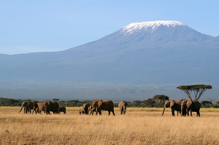 De Kilimanjaro beklimmen in Tanzania