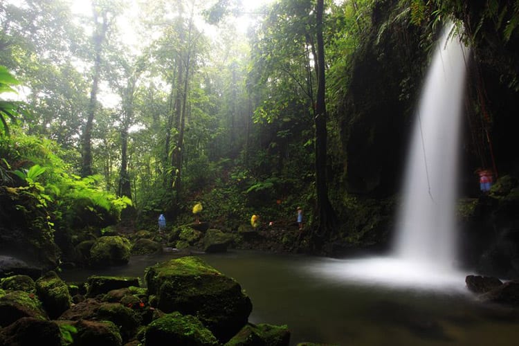 Dominica, Emerald pool