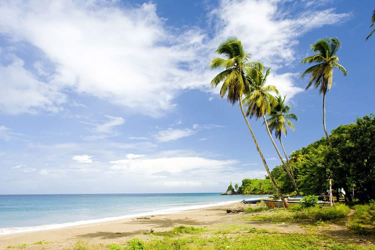 Grenada, Duquesne Bay
