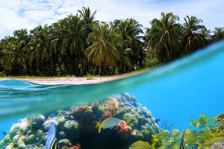 Bocas del Toro, Panama
